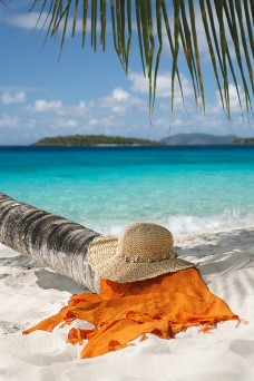 Dominikanische Republik Palmenstrand