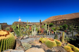 Kakteengarten von Cesar Manrique Kakteengarten von Cesar Manrique
