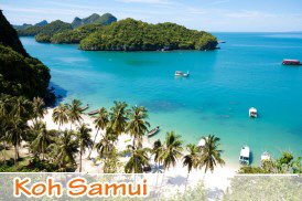 Koh Samui die Kokossnuss Insel Koh Samui die Kokossnuss Insel