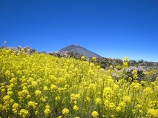 Teide auf Teneriffa